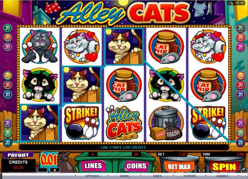 Alley Cats Slot Review